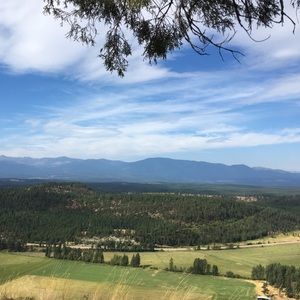 Meet your Posher, Genie